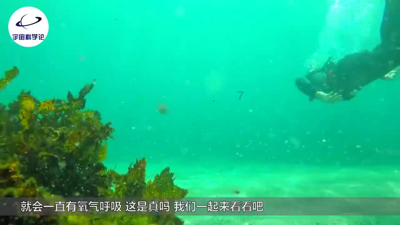 为什么情侣在一起旅行后容易分手？游戏画面